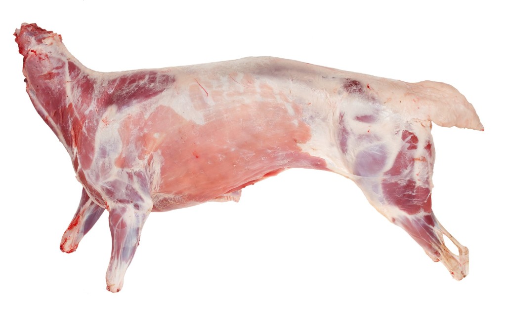 Lamb Carcass ( Whole )